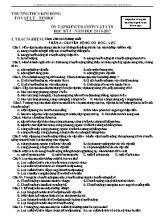 Đề ôn tập kiểm tra học kì I Vật lí lớp 8 - Năm học 2016-2017 - Trường THCS Kim Đồng